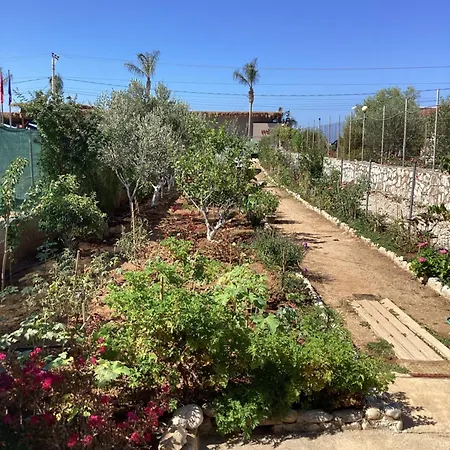 Little Paradise Livadi Tatil Evi